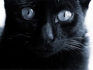 Rinochka