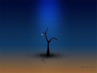 Ilvi