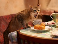 Фатал