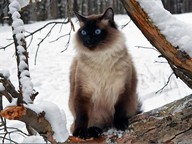 Евгений Кн.