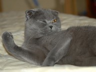 MATIZZZ