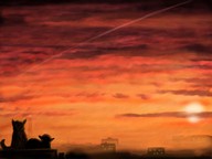 C^-..moooon.yea