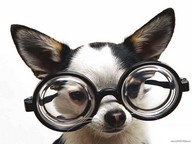 geek