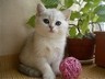 ilya_s