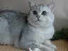 Смит