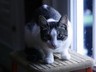 frost_byte