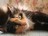 bariga_alexey