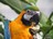 Dmitry_777